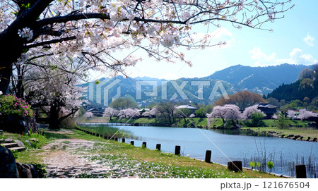 Cherry blossoms frame a tranquil riverbank under clear blue skies, with distant mountains providing a stunning natural backdrop on a beautiful day Cherry blossoms frame a tranquil riverbank under clear blue skies, with distant mountains providing a stunning natural backdrop on a beautiful day 121676504