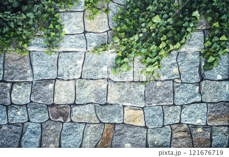 Garden plants on the wall. Stone texture. Old stonework. Garden wall. The streets of the old city are paved with stones. 121676719
