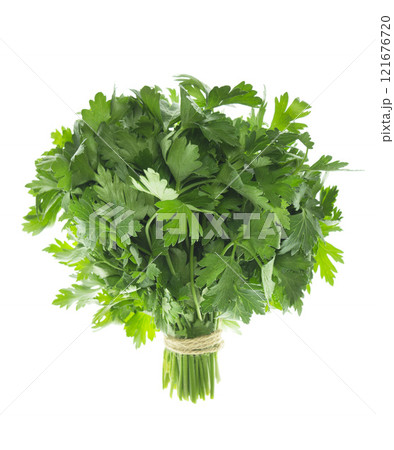 Parsley bunch Isolated without shadow on white. Parsley herb leaves. green sprig of parsley. 121676720