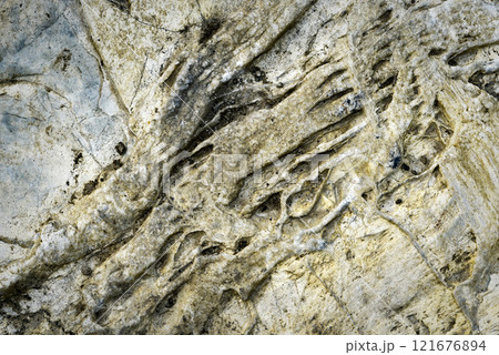 detail of relief on limestone rock 121676894