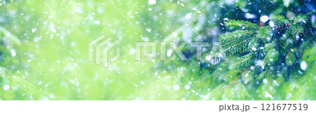 Green Christmas tree in the snow. Christmas background. Blizzard.Winter. New Year. Snowfall in the forest. 121677519