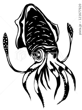 ふにゃふにゃ軟体動物イカの白黒切り絵イラスト 121677820