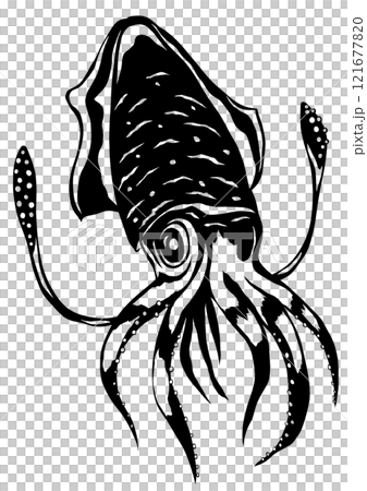 ふにゃふにゃ軟体動物イカの白黒切り絵イラスト 121677820