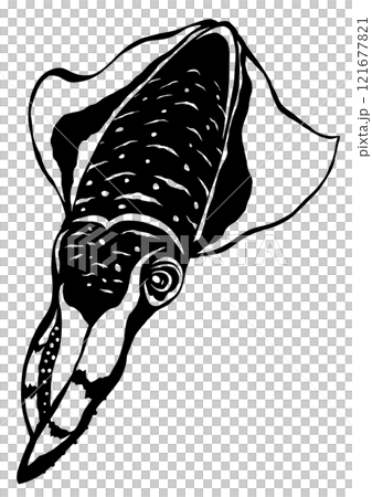 海の可愛いイカのシンプル白黒切り絵イラスト 121677821
