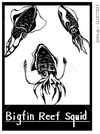 水族館の水槽でガンを飛ばし煽るアオリイカの切り絵イラスト枠有り 121677823