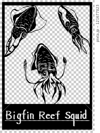 水族館の水槽でガンを飛ばし煽るアオリイカの切り絵イラスト枠有り 121677823