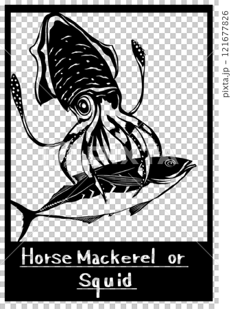 一幅黑白剪紙插圖，描繪了竹莢魚在海中被烏賊捕食的絕望時刻 121677826