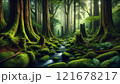 命の森：屋久島の神秘（鹿児島県） 121678217