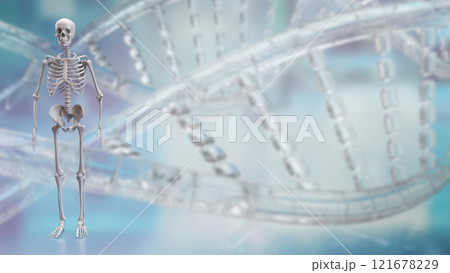 The Skeleton on black background for education...のイラスト素材 [121678229 ...