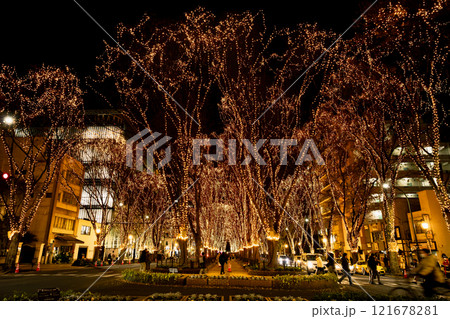 仙台光のページェント定禅寺通り 121678281