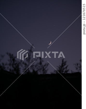 The moon in the twilight sky. Tree branches sway in the foreground. Pula, Croatia - January 3, 2025 121678515