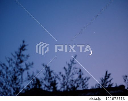 The moon in the twilight sky. Tree branches sway in the foreground. Pula, Croatia - January 3, 2025 121678518