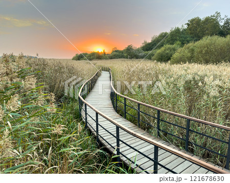 Coastal eco trail stretches into sunset. Lake viewpont in recreational area for bird watching 121678630