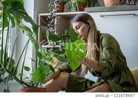 Relaxed calm woman plant lover taking care about indoor plant monstera at home touching green leaves Relaxed calm woman plant lover taking care about indoor plant monstera at home touching green leaves 121678687