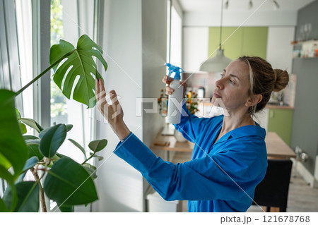 Woman gently sprays water on monstera and other plants leaves on windowsill. Green space watering Woman gently sprays water on monstera and other plants leaves on windowsill. Green space watering 121678768