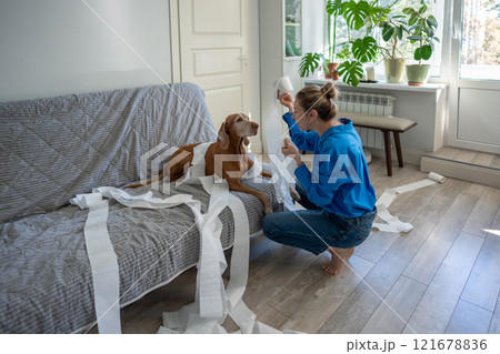 Torn toilet paper everywhere as dog gets gentle scolding from female owner, playful pet mischief Torn toilet paper everywhere as dog gets gentle scolding from female owner, playful pet mischief 121678836