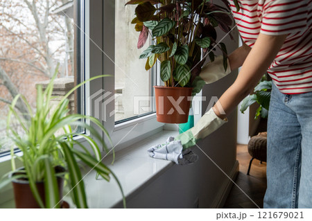 Cleaner woman, professional maid wear latex rubber protective gloves washing windowsill top with rag Cleaner woman, professional maid wear latex rubber protective gloves washing windowsill top with rag 121679021