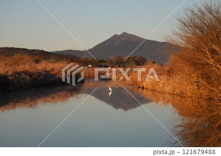 逆さ筑波山と白鷺 逆さ筑波山と白鷺 121679488