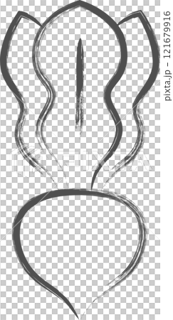 野菜筆書き単品イラスト　かぶ 121679916