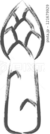 野菜筆書き単品イラスト アスパラガス 野菜筆書き単品イラスト アスパラガス 121679929