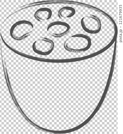 蔬菜畫單品插畫蓮藕 121679935