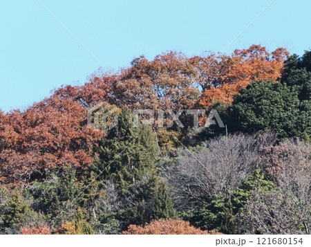 里山の紅葉 里山の紅葉 121680154