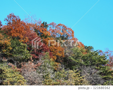 里山の紅葉 里山の紅葉 121680162