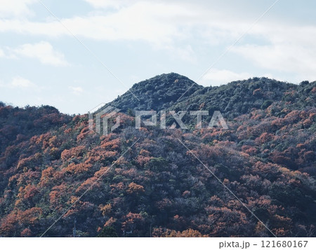 里山の紅葉 里山の紅葉 121680167