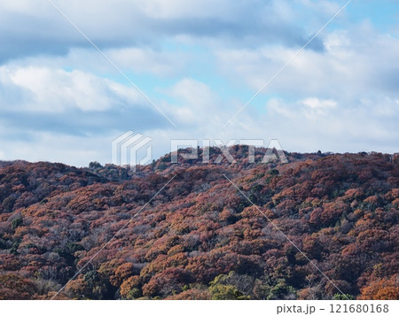 里山の紅葉 里山の紅葉 121680168