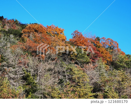 里山の紅葉 里山の紅葉 121680170
