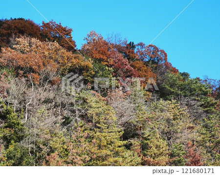 里山の紅葉 121680171