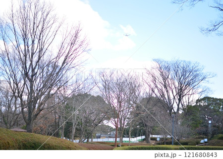 福岡市動植物園　2025年の新春 121680843