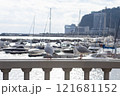 朝の熱海港　漁船とカモメ 121681152