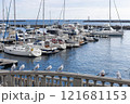 朝の熱海港　漁船とカモメ 121681153