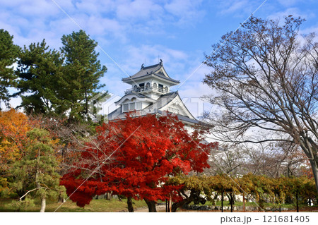 長浜城・紅葉（滋賀県・長浜市） 121681405