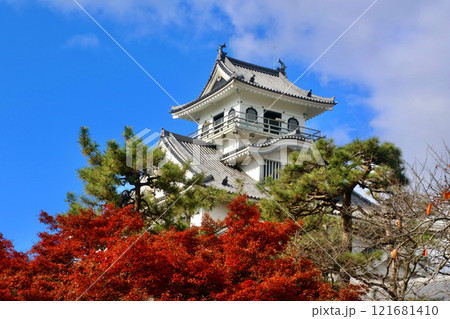長浜城・紅葉(滋賀県・長浜市) 長浜城・紅葉(滋賀県・長浜市) 121681410