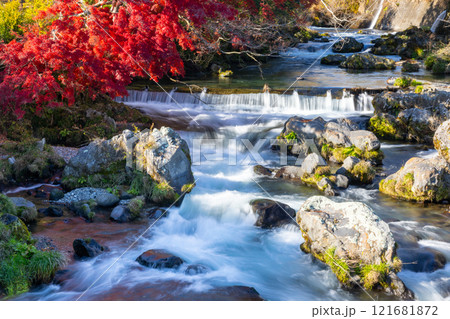 静岡県富士宮市上井出　白糸の滝近くの芝川の流れと紅葉もみじ 121681872