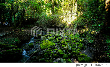 熊本県の名水・山吹水源 熊本県の名水・山吹水源 121682507