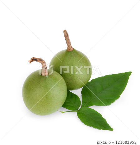 bael fruits or wood apple fruit (Aegle marmelos) on a white background 121682955