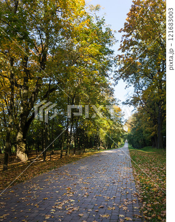 Walkway in the park in the summer Walkway in the park in the summer 121683003