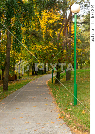 Forest footpath in autumn 121683014