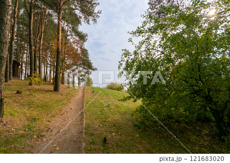 Forest footpath in autumn 121683020
