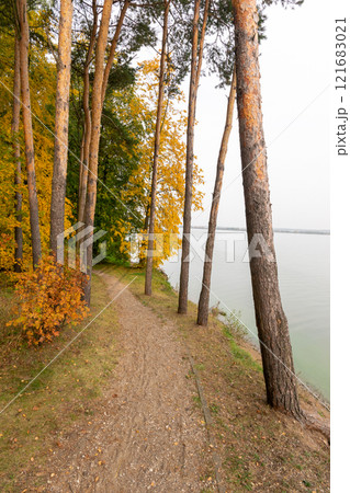 Forest walking path on the lake shore in autumn 121683021