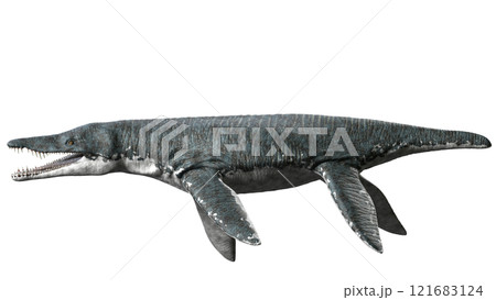 リオプレウロドン Liopleurodon 121683124