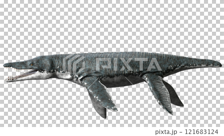 リオプレウロドン Liopleurodon 121683124