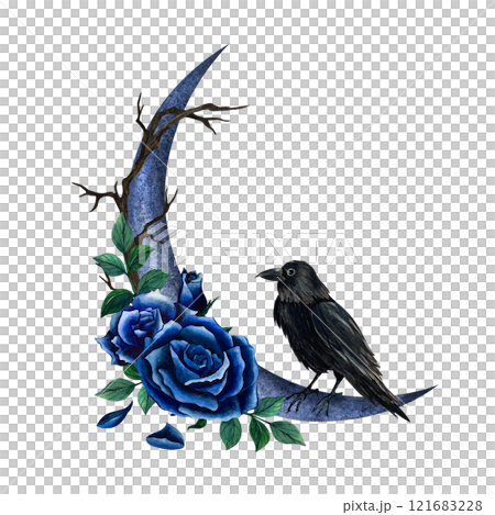 crow, roses, watercolor 121683228