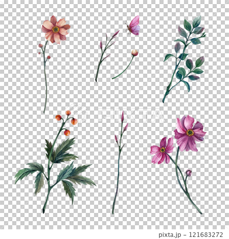 Set of pink peony buds drawing with watercolor. Hand-drawn illustration with flowers isolated on white background. For compositions for International Women's Day, cards and gifts for spring holidays 121683272