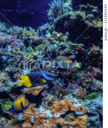 マクセルアクアパーク品川 121683344