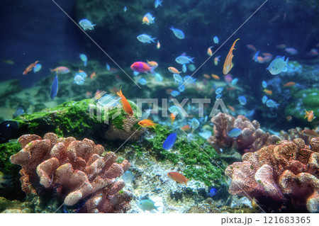 マクセルアクアパーク品川 121683365