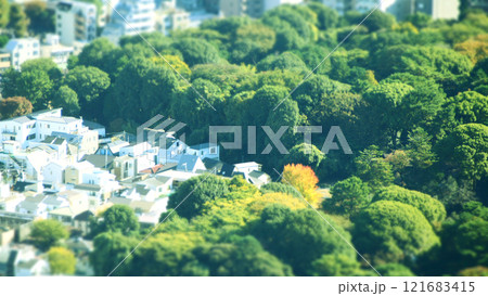 展望台から見た街並み　チルトシフト　ジオラマ 121683415